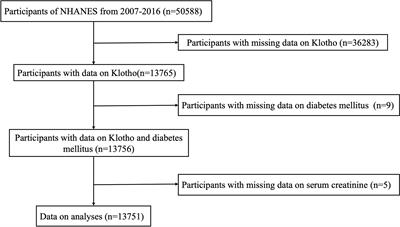 Association between serum Klotho levels and the prevalence of diabetes among adults in the United States